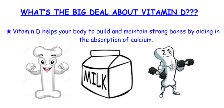 Screen Shot 2018-06-20 at 1.20.42 PM.png