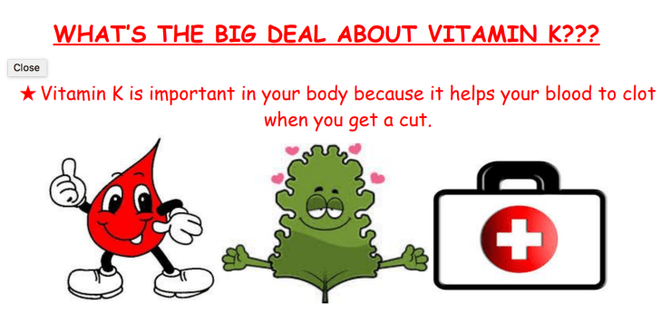 Screen Shot 2018-06-20 at 1.21.23 PM.png